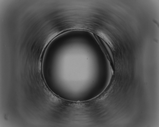 X0000093230900200710031456