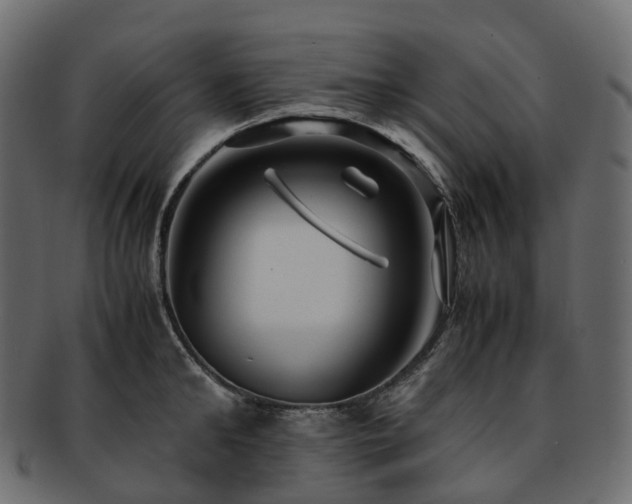 X0000093230902200710031456