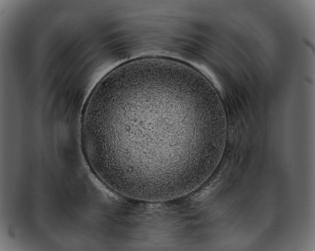 X0000093230903200710031456