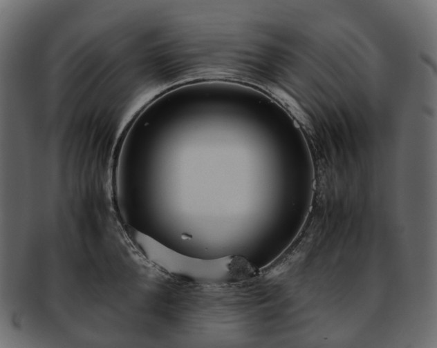 X0000093230904200710031456