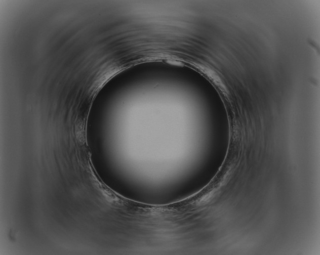 X0000093230905200710031456