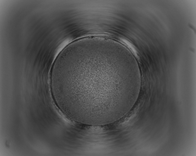 X0000093230907200710031456