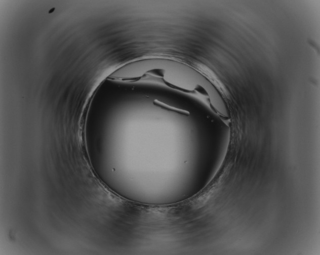 X0000093230908200710031456