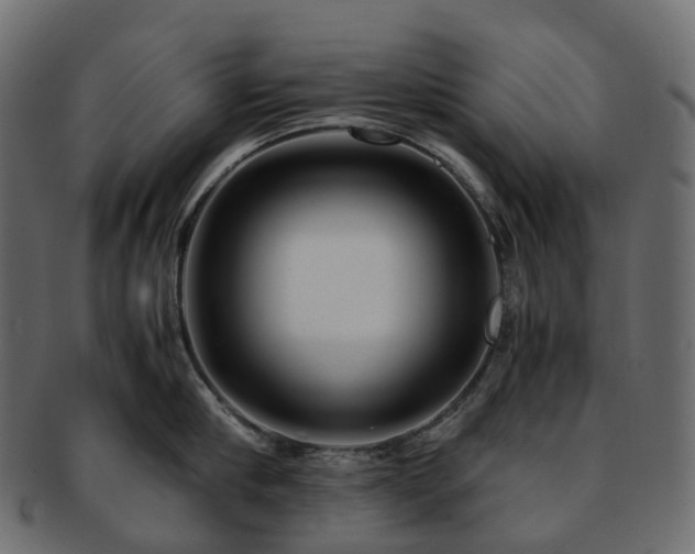 X0000093230910200710031456