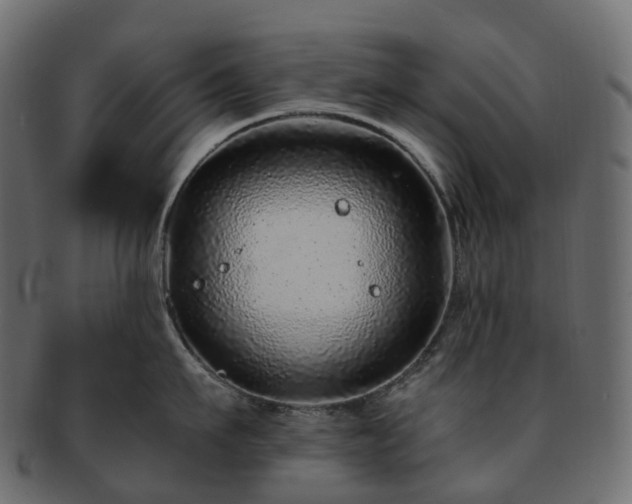 X0000093230911200710031456