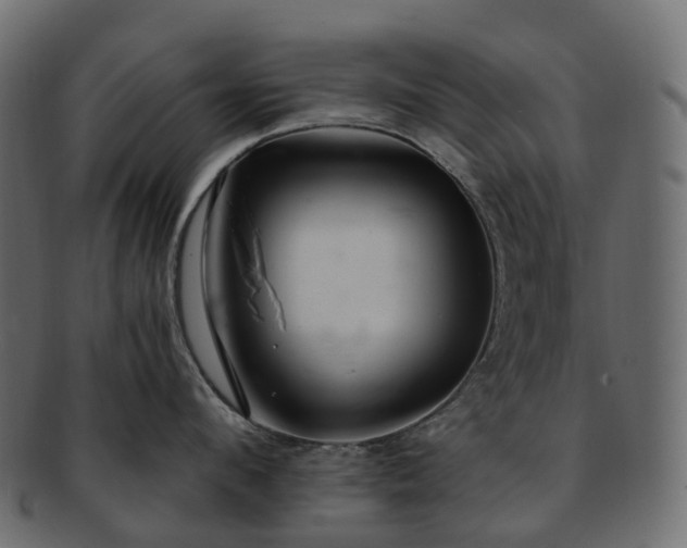 X0000093230912200710031456