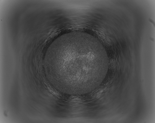 X0000093230913200710031455