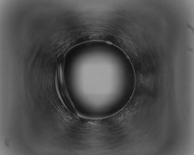 X0000093230914200710031455