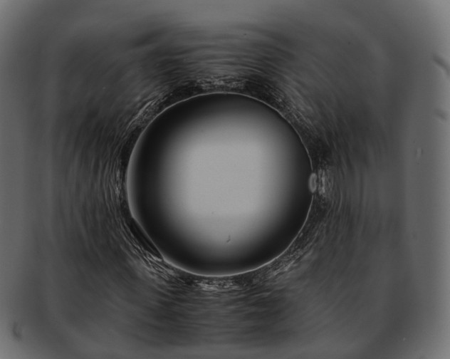 X0000093230915200710031455