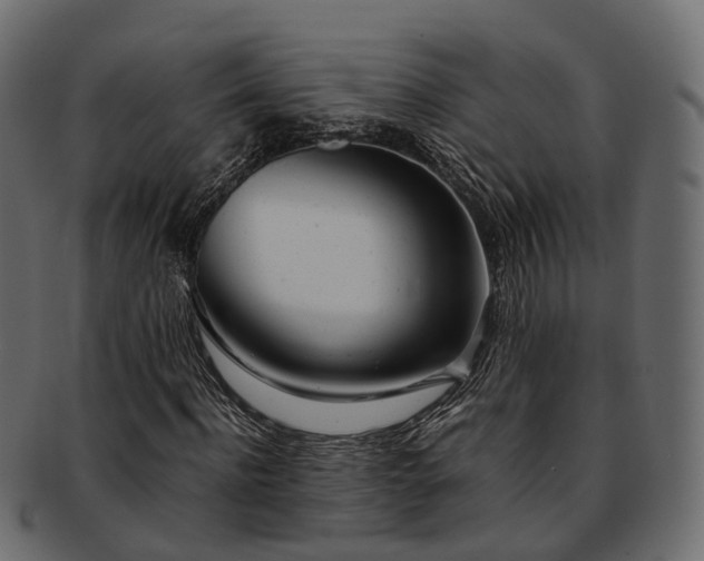 X0000093230916200710031455