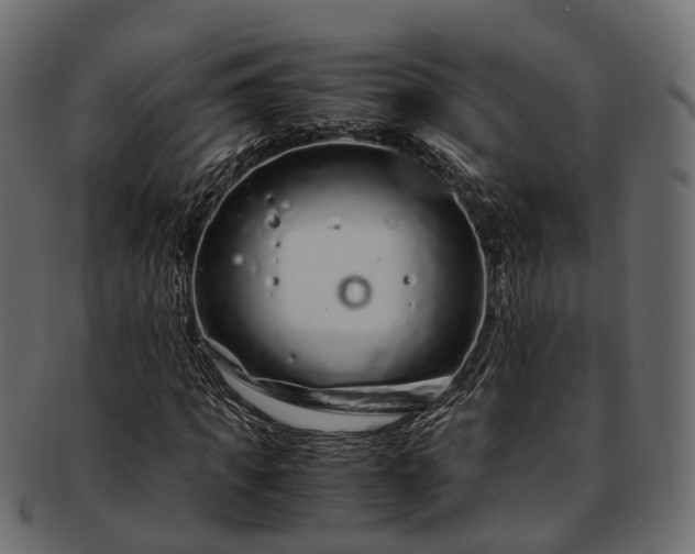 X0000093230917200710031455