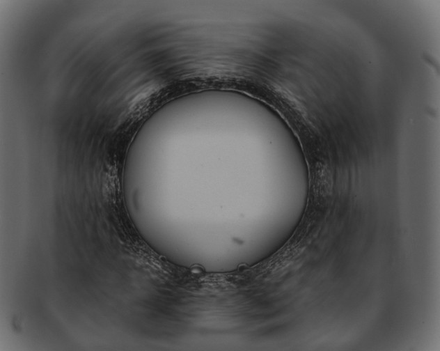 X0000093230918200710031455