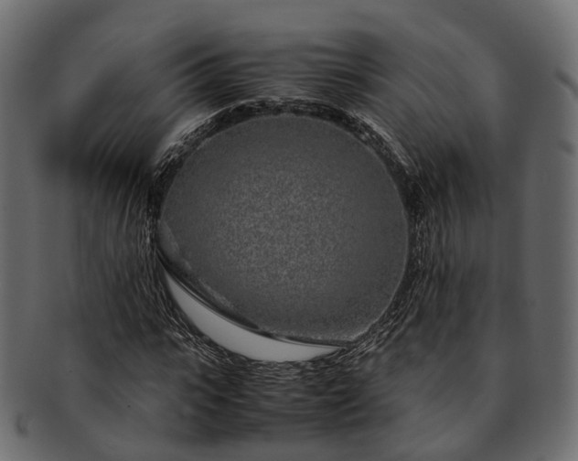 X0000093230919200710031455