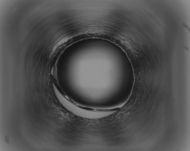 X0000093230920200710031455