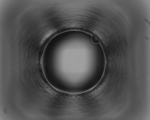 X0000093230922200710031455