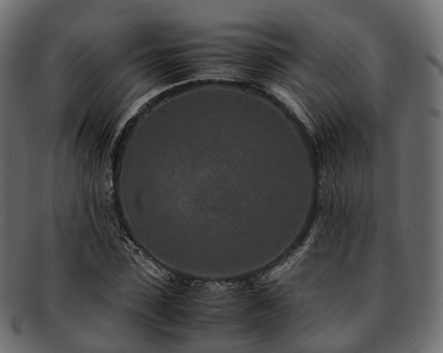 X0000093230923200710031455