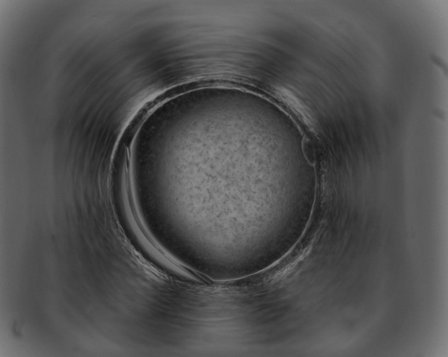 X0000093230924200710031455