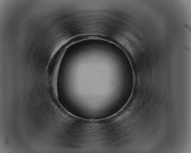 X0000093230925200710031455