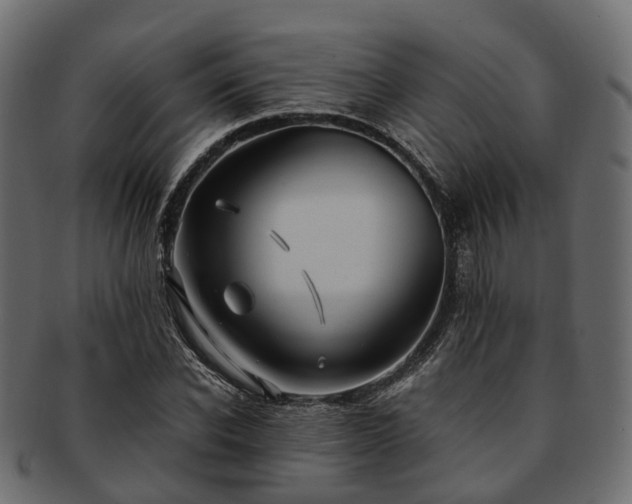 X0000093230926200710031455