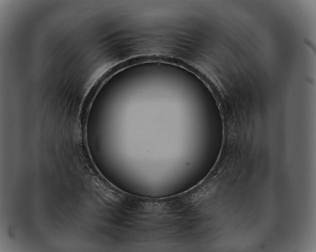 X0000093230927200710031455