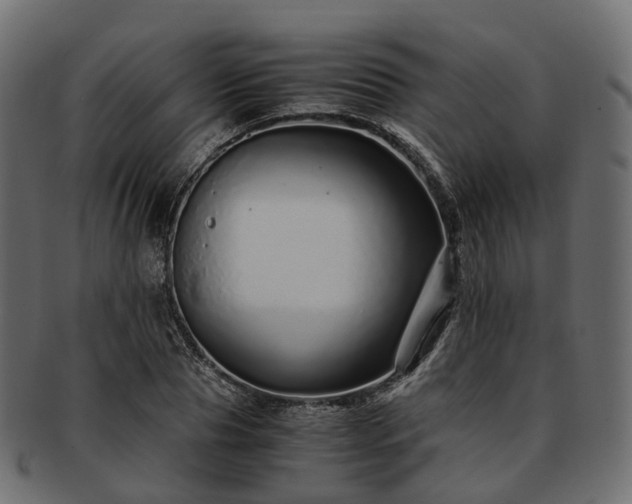 X0000093230929200710031455