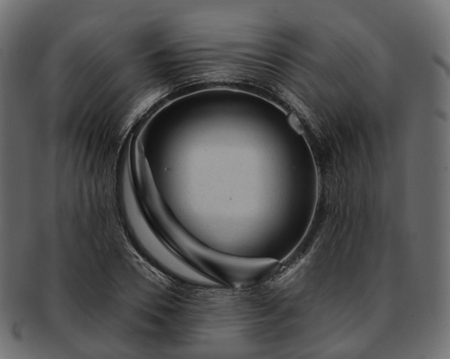 X0000093230930200710031455