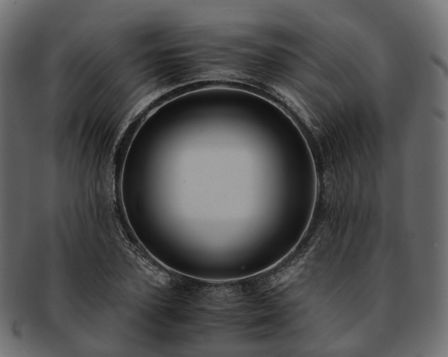 X0000093230931200710031455