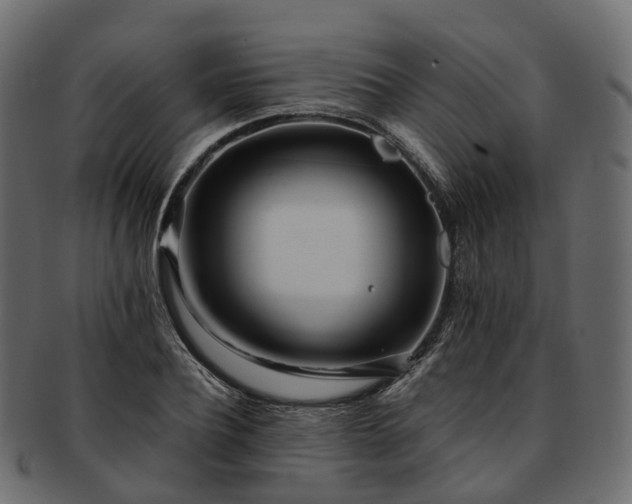 X0000093230932200710031455