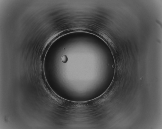 X0000093230933200710031455