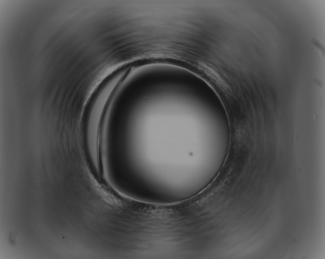 X0000093230934200710031455