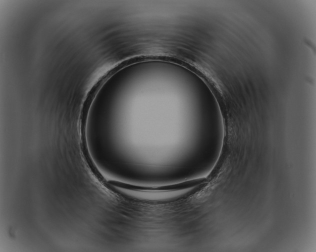 X0000093230935200710031455