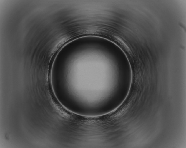 X0000093230938200710031455