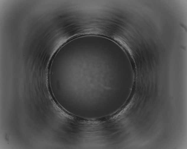 X0000093230941200710031455