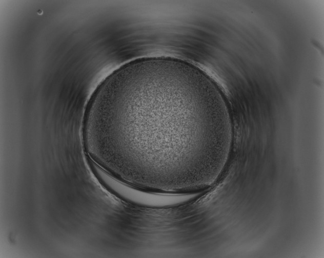 X0000093230943200710031456