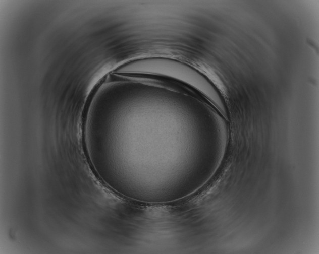 X0000093230944200710031456