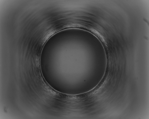 X0000093230945200710031456