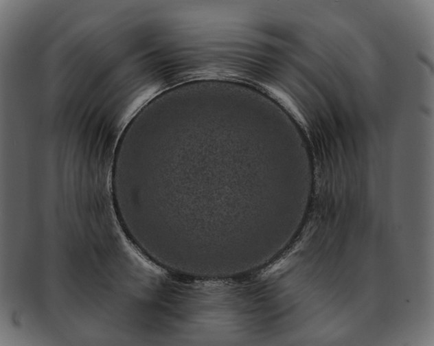 X0000093230946200710031456