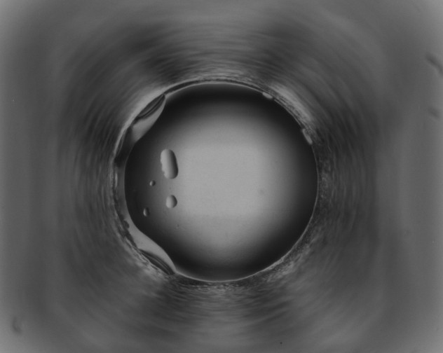 X0000093230948200710031456