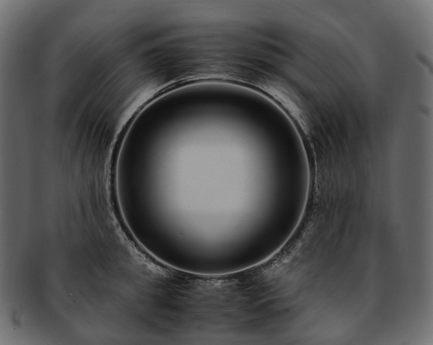 X0000093230949200710031456