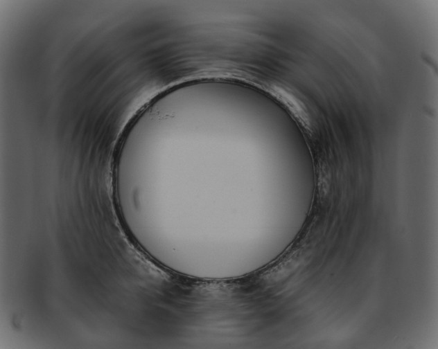 X0000093230950200710031456