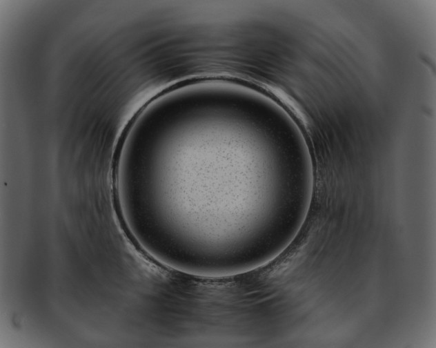 X0000093230951200710031456