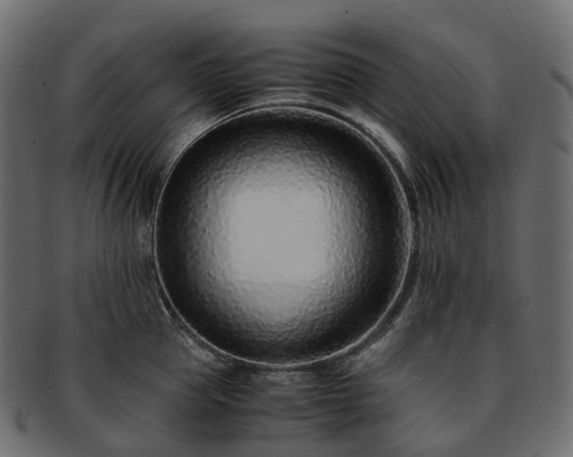 X0000093230953200710031456