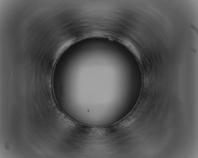 X0000093230954200710031456