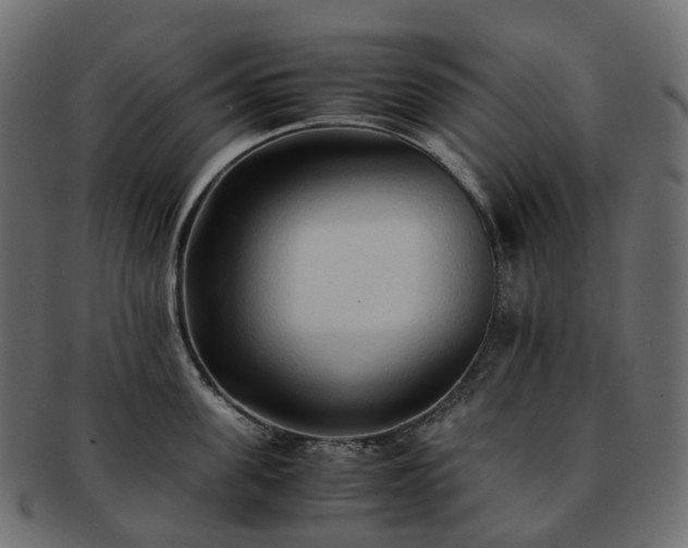 X0000093230955200710031456