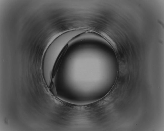 X0000093230956200710031456