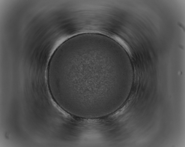 X0000093230958200710031456