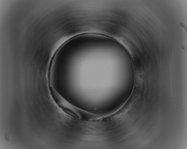 X0000093230959200710031456