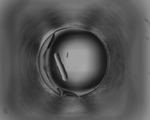 X0000093230960200710031456