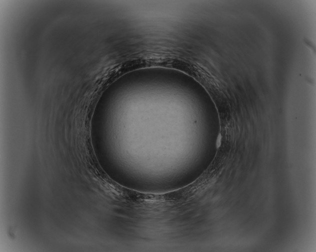 X0000093230961200710031455