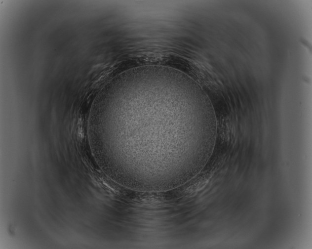 X0000093230962200710031455